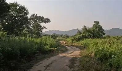 Dhela Safari Zone
