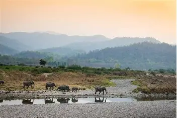 Dhikala Safari Zone